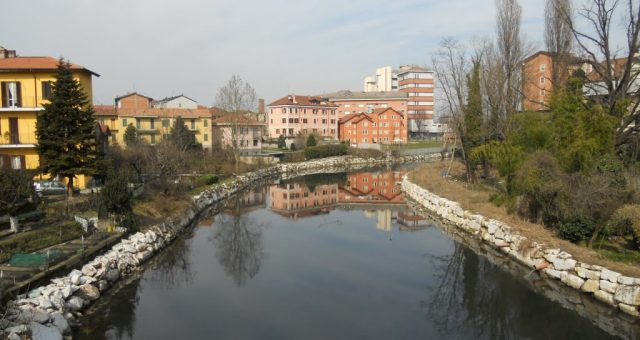 48705993